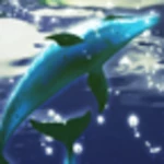 dolphin moonlight trial android application logo